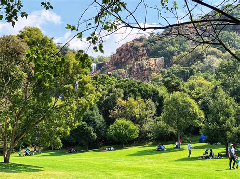 The Walter Sisulu National Botanical Garden: A Breathtaking Oasis of Biodiversity and Tranquility!