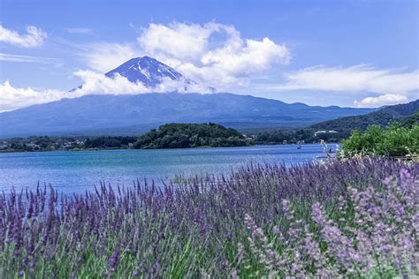 グランファーム富士河口湖: 富士山の麓で見つける新しい農業の形