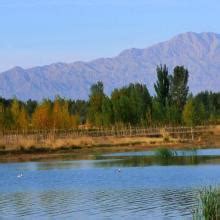 Heihe Wudaoquan National Wetland Park, A Serene Oasis For Nature Lovers and Photography Enthusiasts!