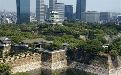 大阪城ホール ホテル おすすめ そして、なぜかそこには猫がいる