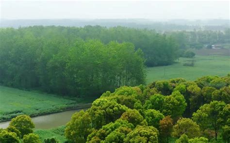 Taizhou Ecological Park - A Breathtaking Oasis in the Bustling City!