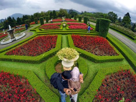 Taman Bunga Nusantara: A Kaleidoscope of Blooms and a Playground for Photography Enthusiasts!