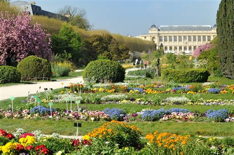  The Jardin de Plantes: A Parisian Oasis Overflowing with Botanical Wonders and Zoological Delights!