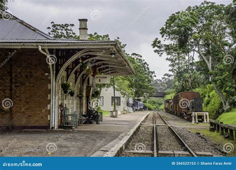 The Umgeni Steam Railway: A Whimsical Journey Through Time and Lush Landscapes!